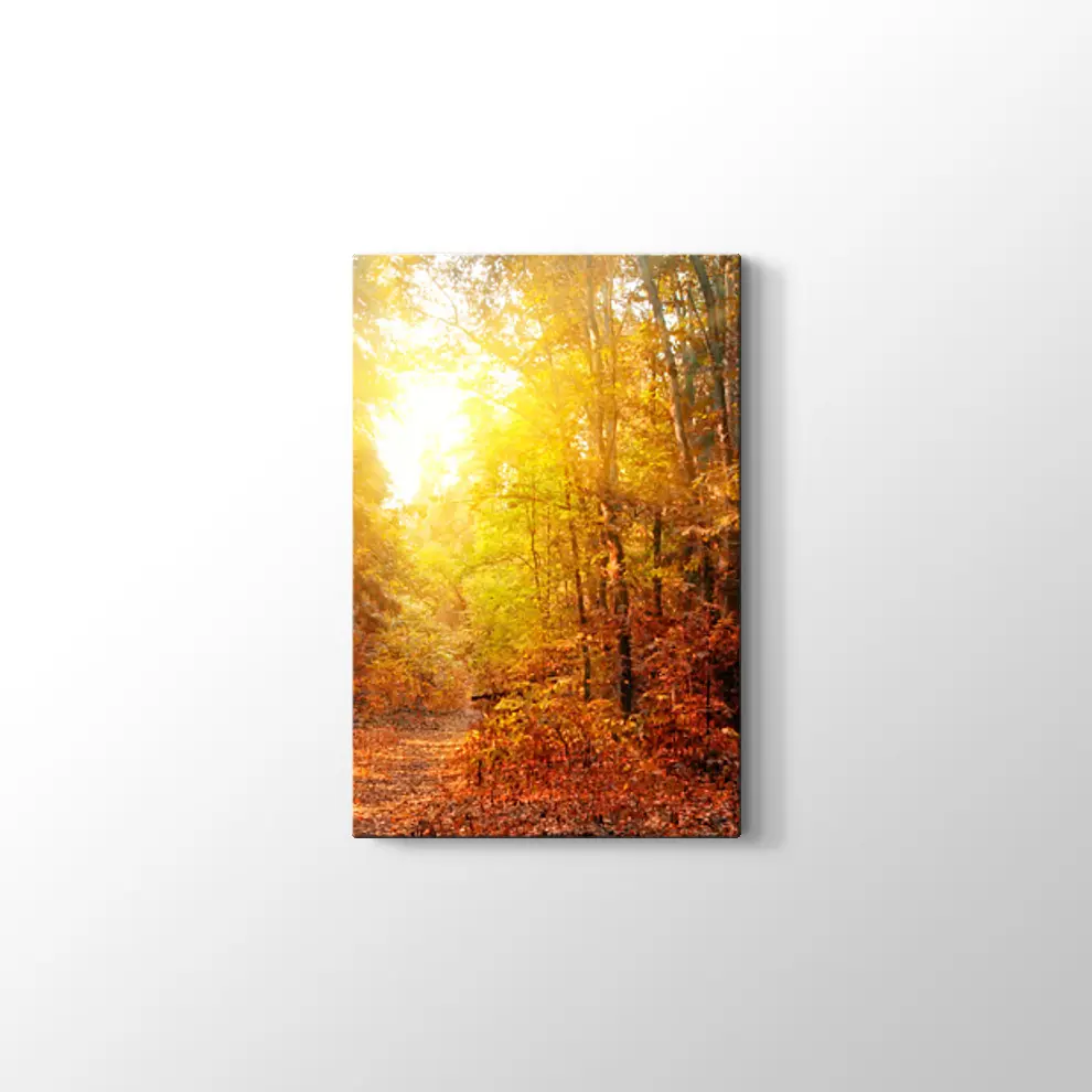Sonbahar Güneşi ve Orman Kanvas Tablo