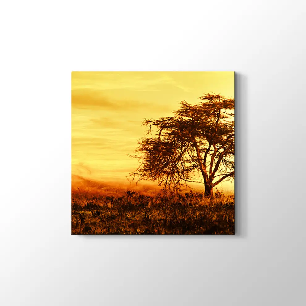 Günbatımında Büyük Afrika Ağacı Kanvas Tablo
