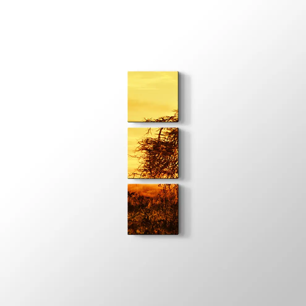 Günbatımında Büyük Afrika Ağacı Kanvas Tablo