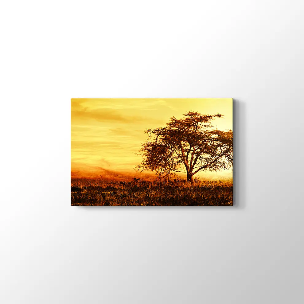 Günbatımında Büyük Afrika Ağacı Kanvas Tablo