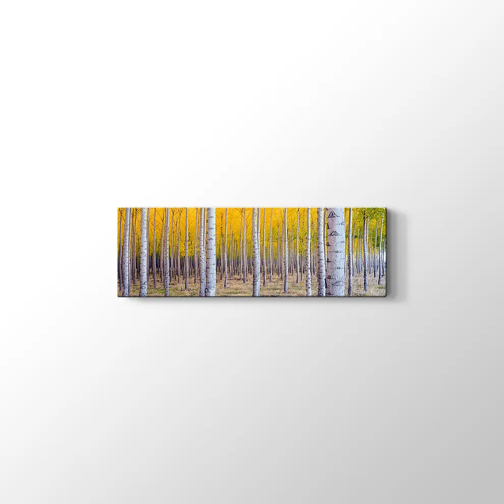 Orman ve Sarı Kompozisyonu Kanvas Tablo