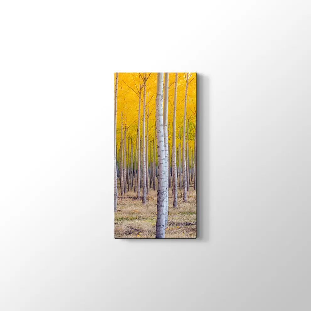 Orman ve Sarı Kompozisyonu Kanvas Tablo