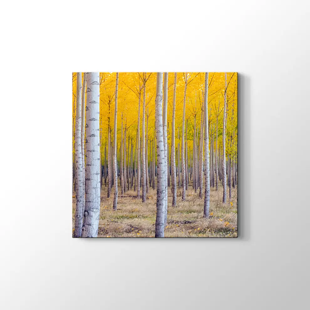 Orman ve Sarı Kompozisyonu Kanvas Tablo