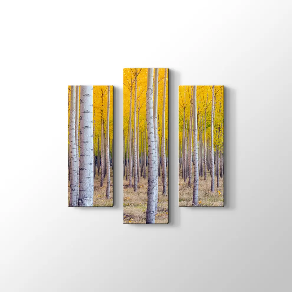 Orman ve Sarı Kompozisyonu Kanvas Tablo