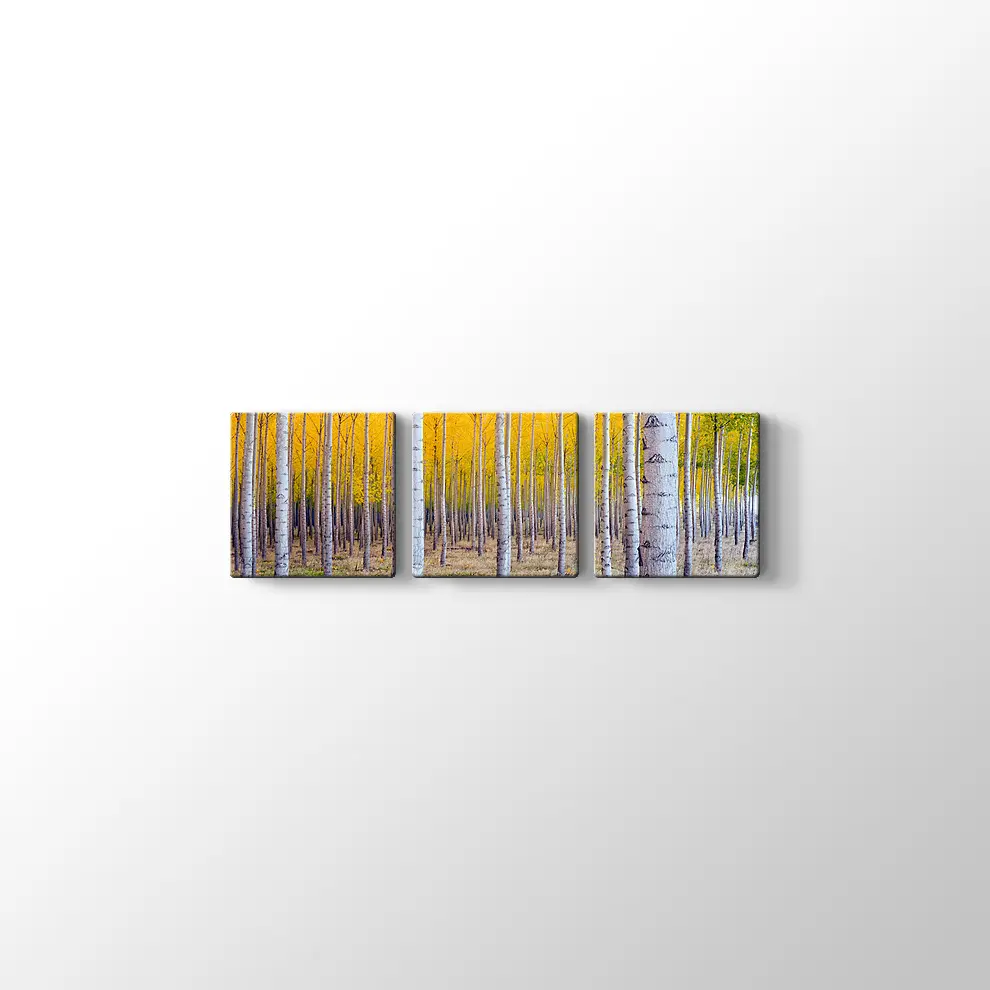 Orman ve Sarı Kompozisyonu Kanvas Tablo