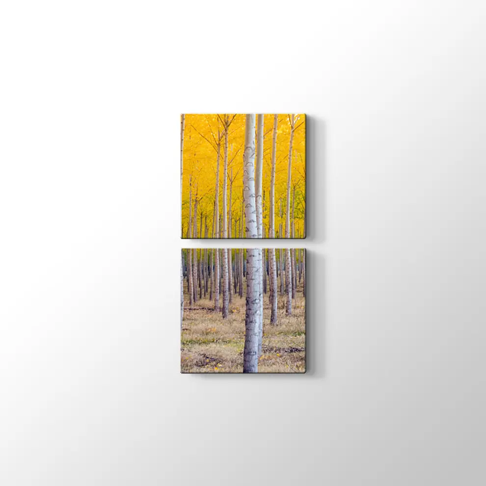 Orman ve Sarı Kompozisyonu Kanvas Tablo