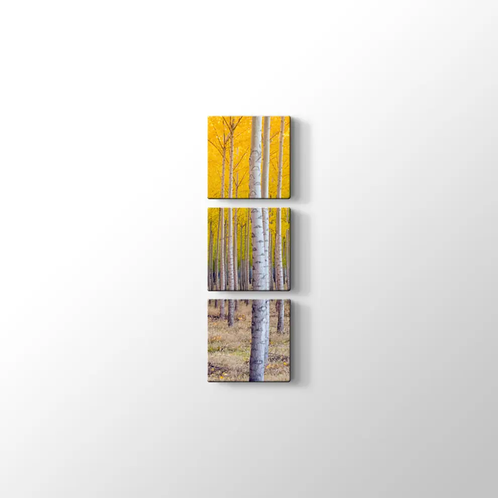 Orman ve Sarı Kompozisyonu Kanvas Tablo