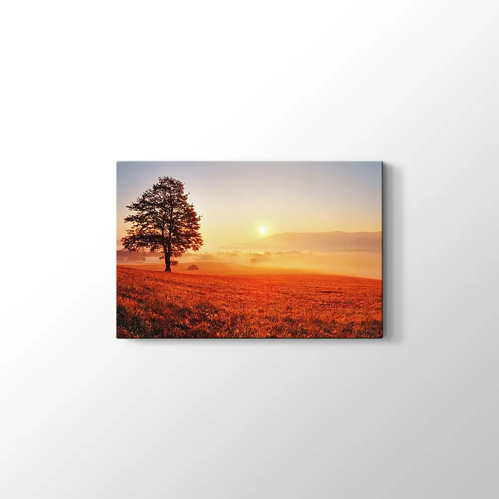 Yanlız Ağaç Kanvas Tablo