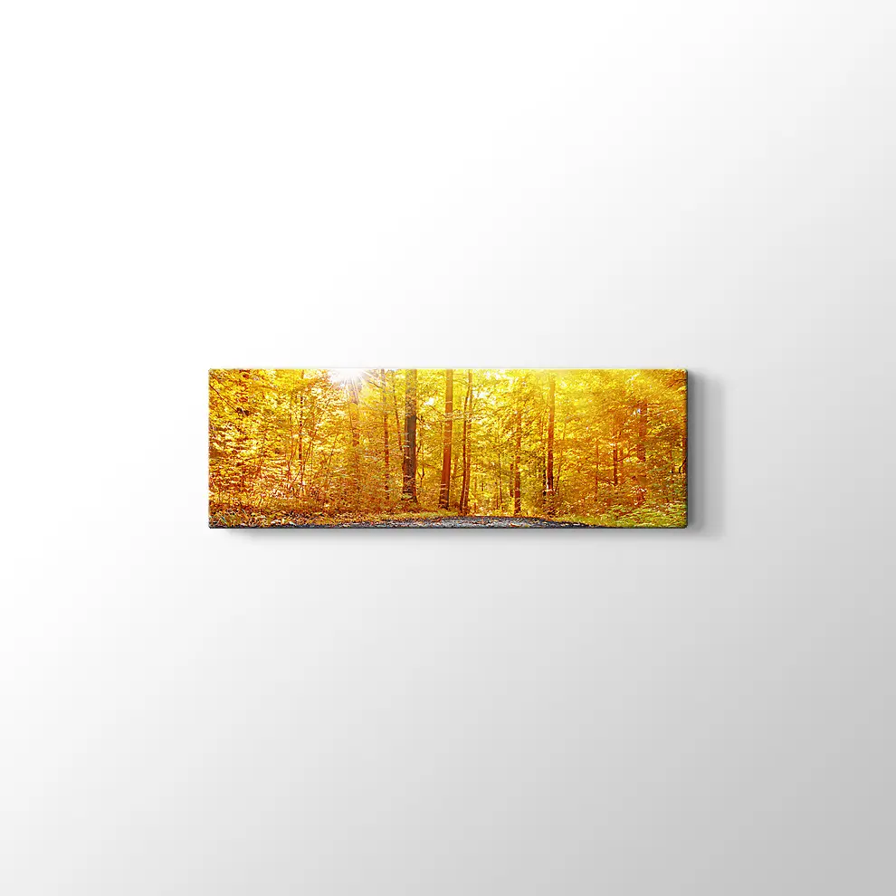 Panaromik Orman Manzarasında Sonbahar Kanvas Tablo