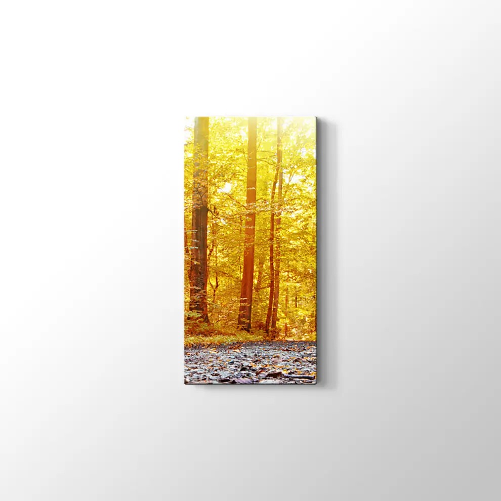 Panaromik Orman Manzarasında Sonbahar Kanvas Tablo
