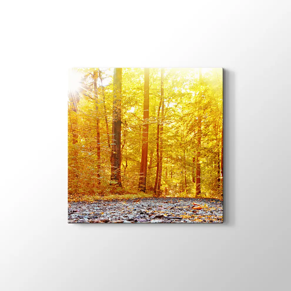 Panaromik Orman Manzarasında Sonbahar Kanvas Tablo