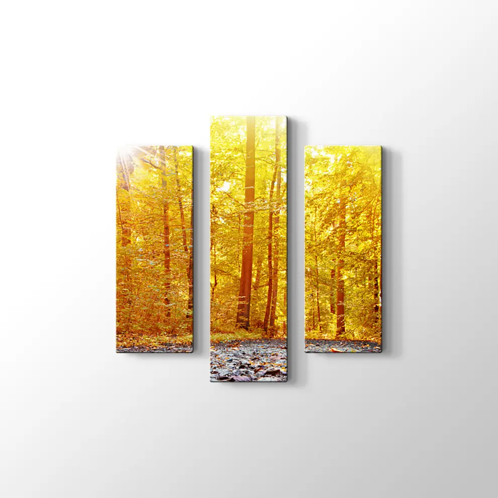 Panaromik Orman Manzarasında Sonbahar Kanvas Tablo