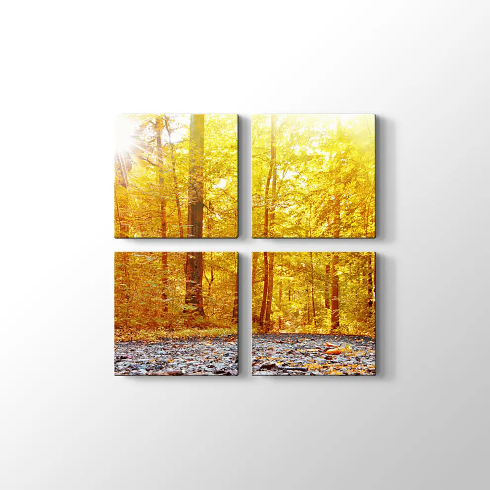 Panaromik Orman Manzarasında Sonbahar Kanvas Tablo