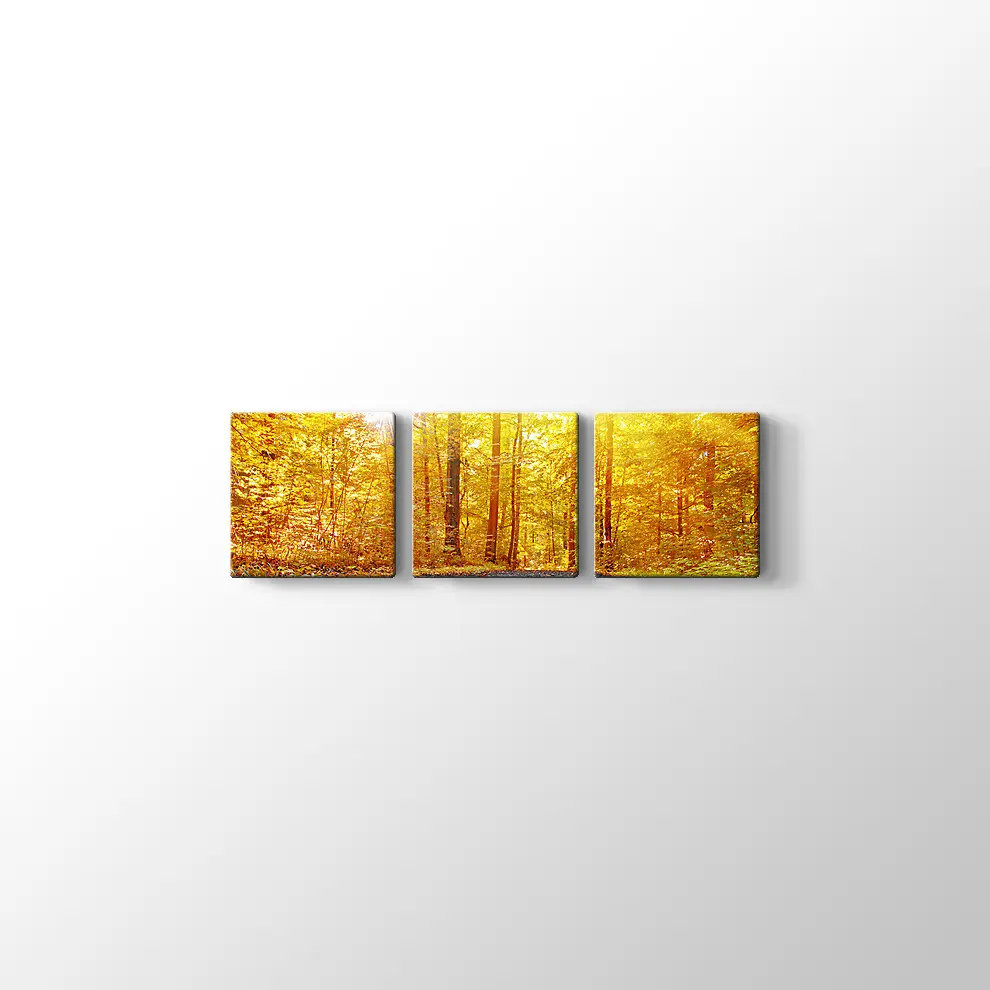 Panaromik Orman Manzarasında Sonbahar Kanvas Tablo