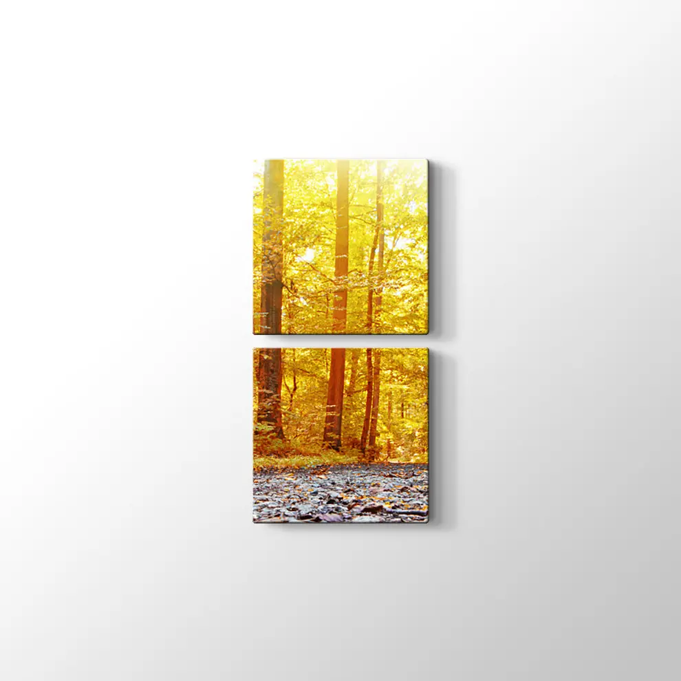 Panaromik Orman Manzarasında Sonbahar Kanvas Tablo