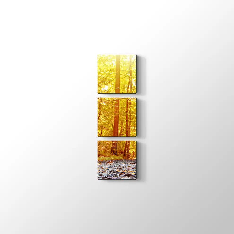 Panaromik Orman Manzarasında Sonbahar Kanvas Tablo