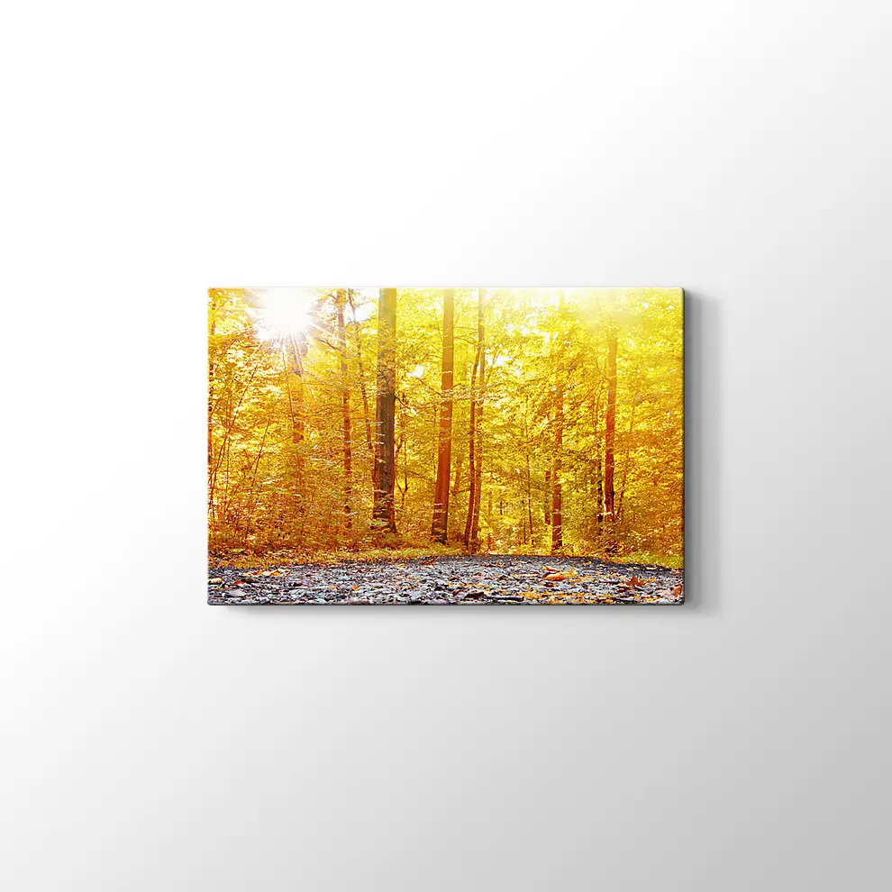 Panaromik Orman Manzarasında Sonbahar Kanvas Tablo