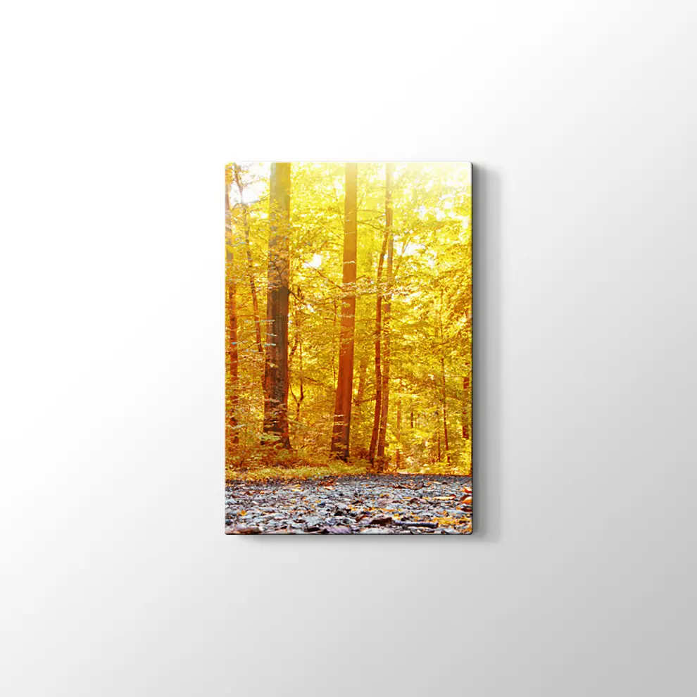Panaromik Orman Manzarasında Sonbahar Kanvas Tablo