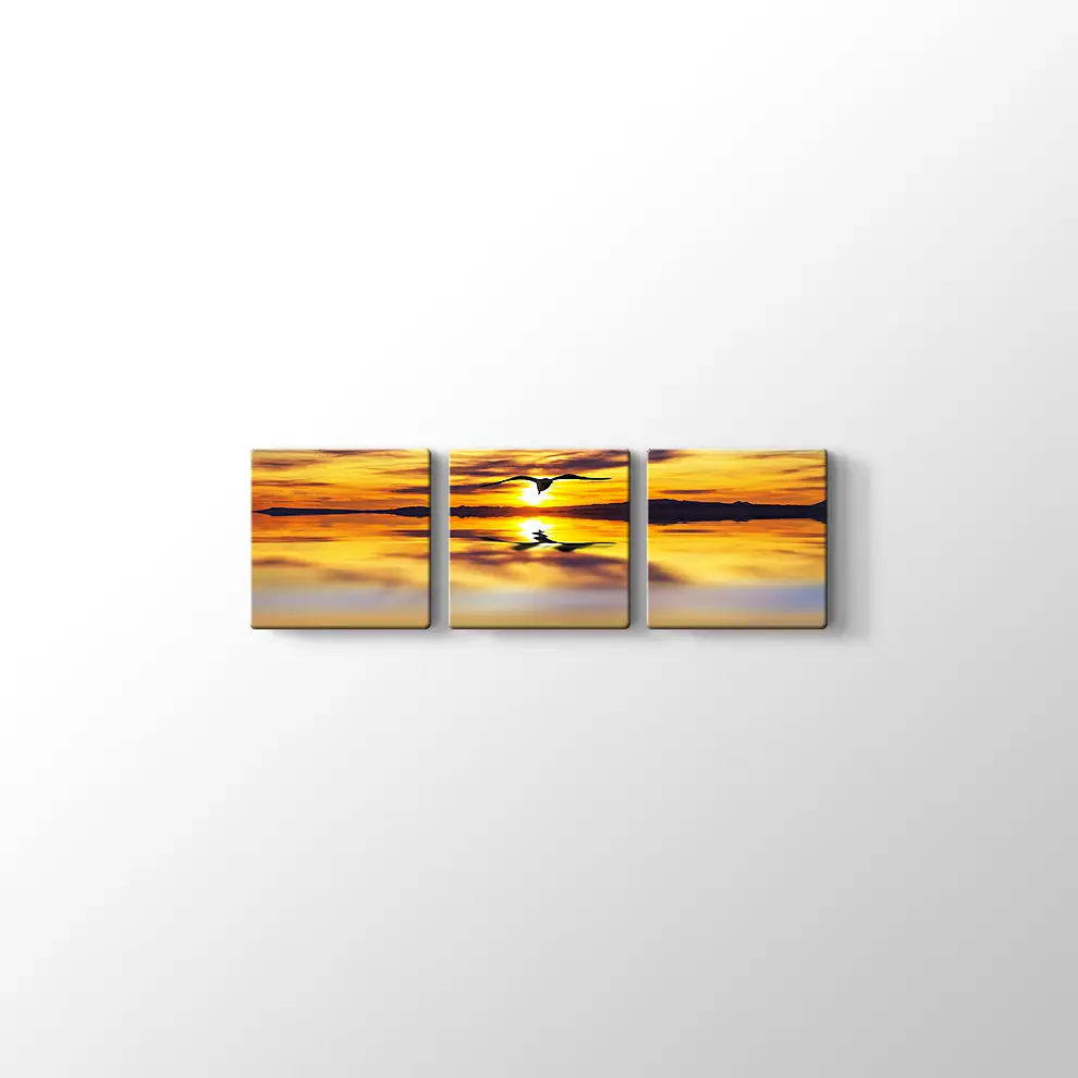Günbatımı Gökyüzünde Bir Kuş Kanvas Tablo