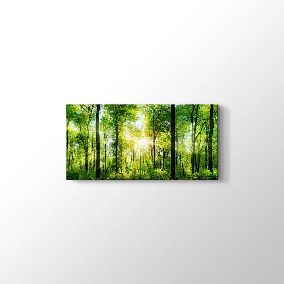 Ormanda Günışığı Kanvas Tablo