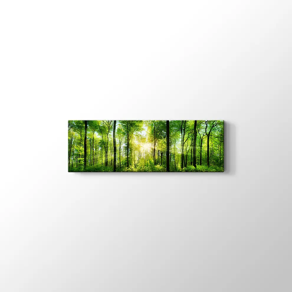 Ormanda Günışığı Kanvas Tablo