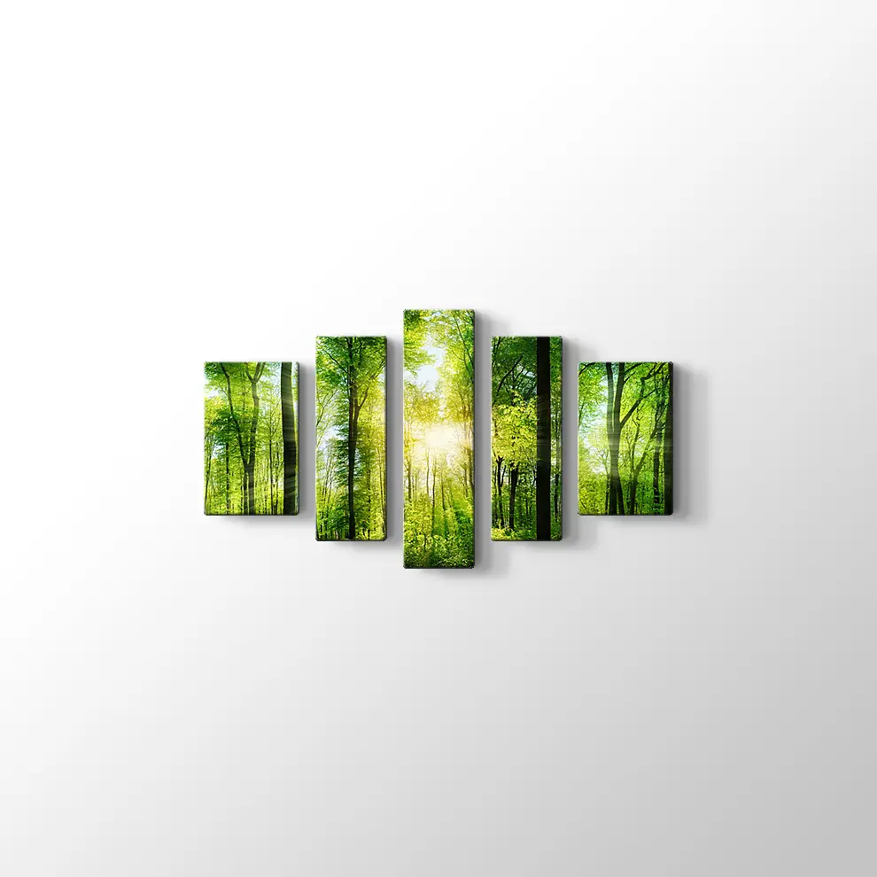 Ormanda Günışığı Kanvas Tablo
