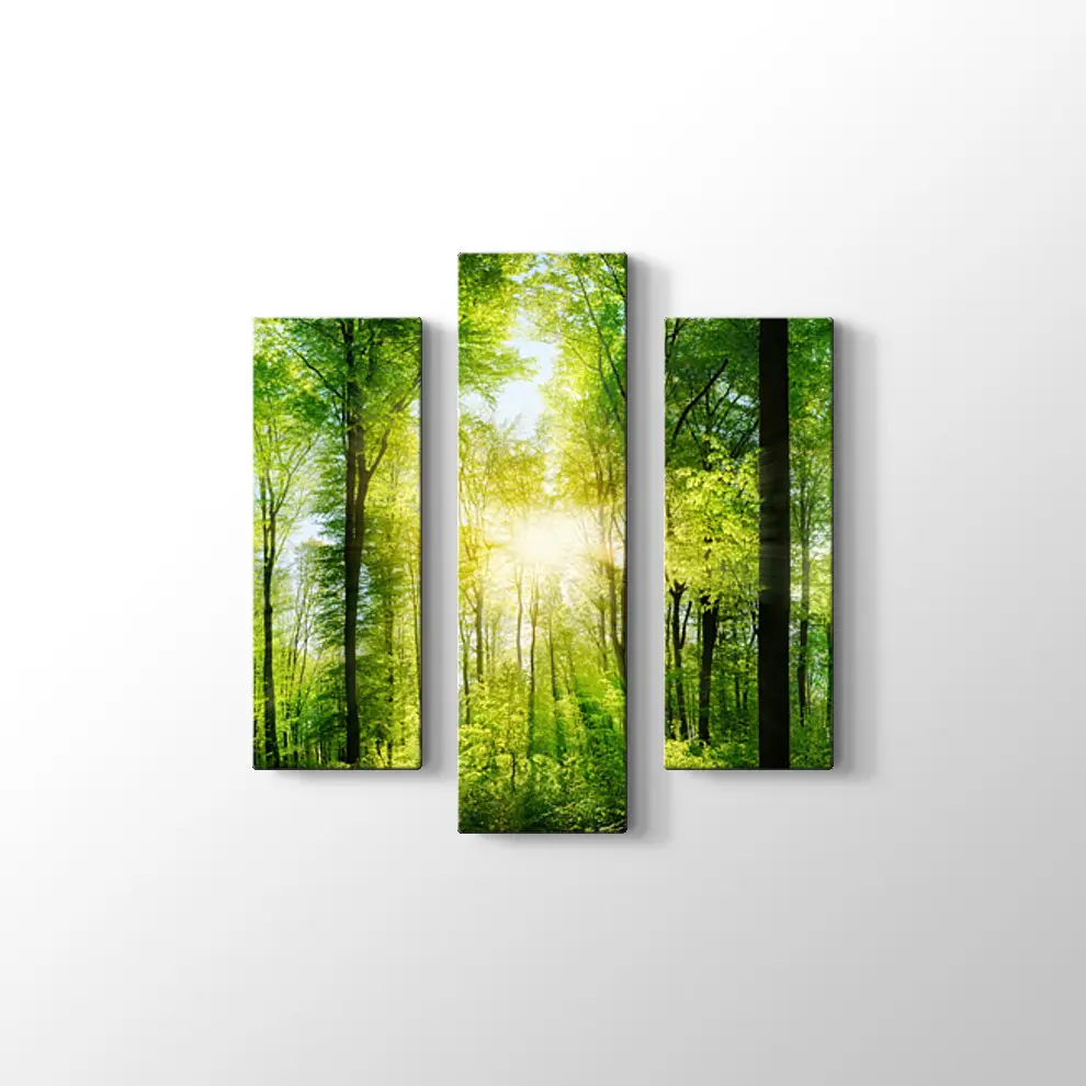 Ormanda Günışığı Kanvas Tablo