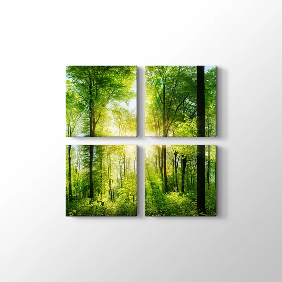 Ormanda Günışığı Kanvas Tablo