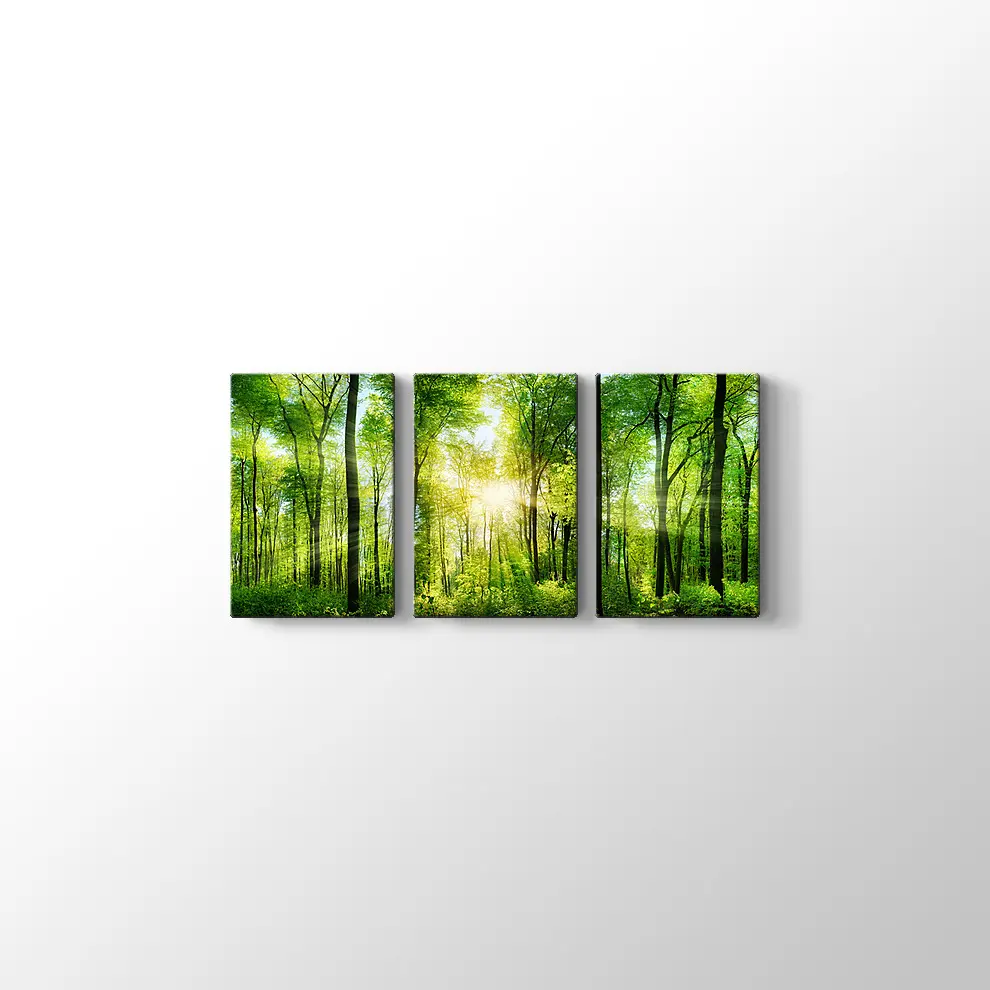 Ormanda Günışığı Kanvas Tablo