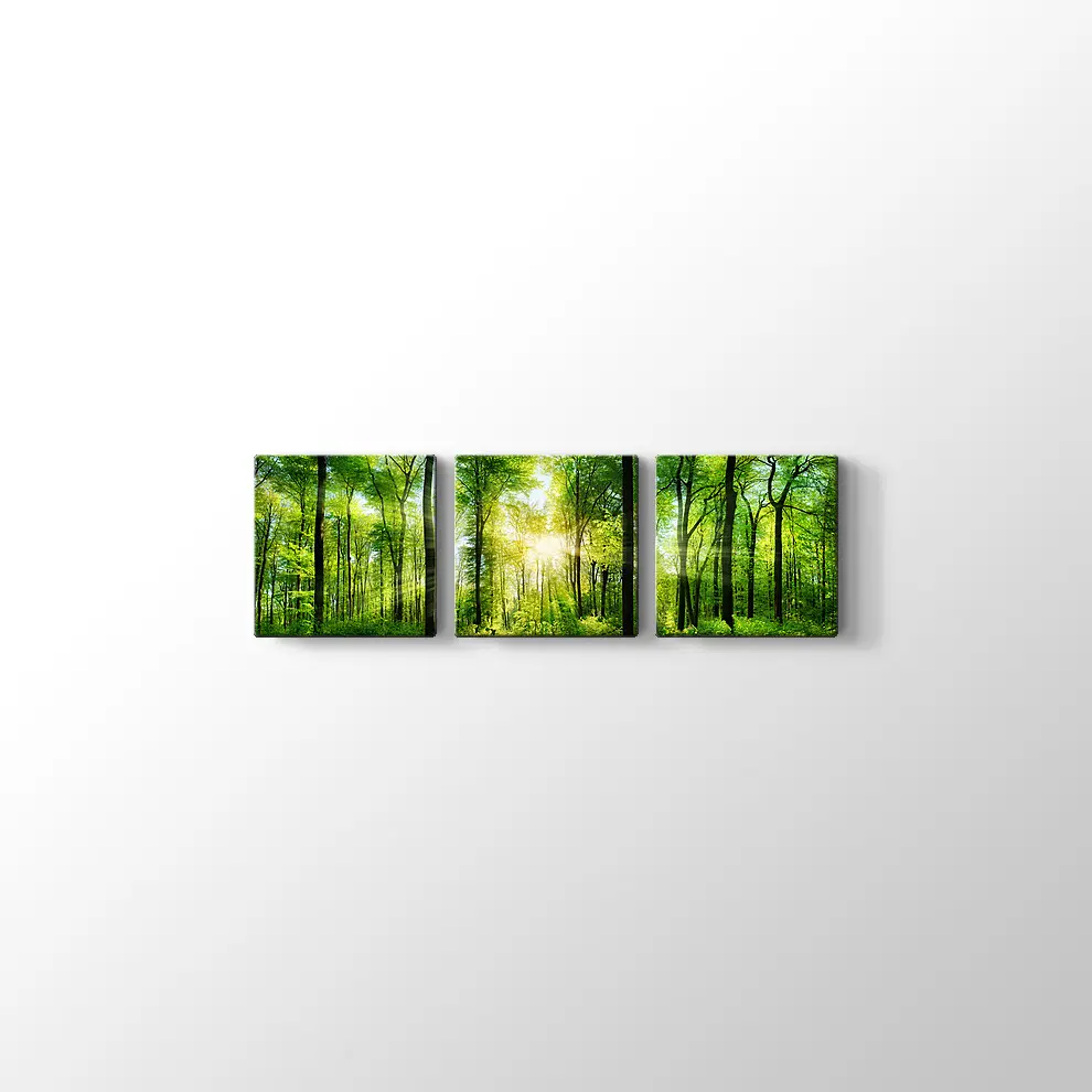 Ormanda Günışığı Kanvas Tablo