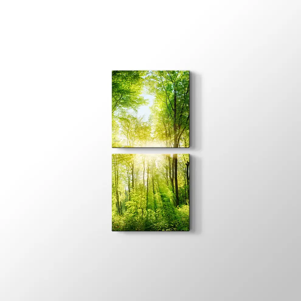 Ormanda Günışığı Kanvas Tablo