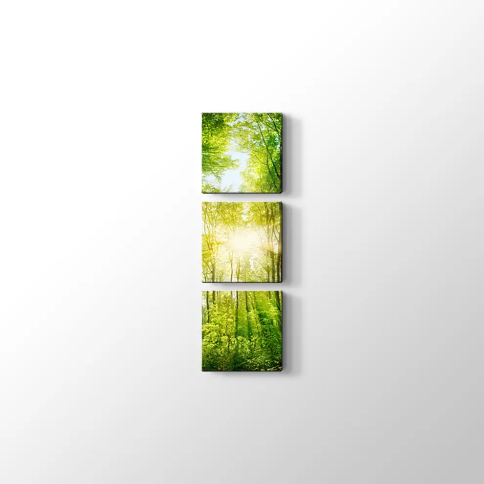 Ormanda Günışığı Kanvas Tablo