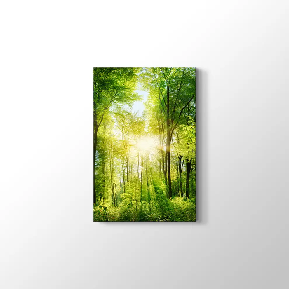 Ormanda Günışığı Kanvas Tablo