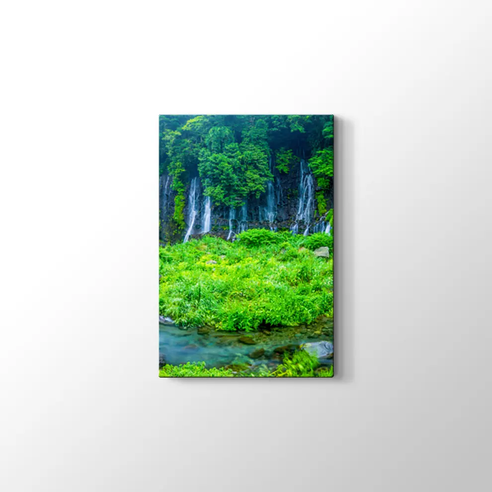 Japonya Şelalesi Kanvas Tablo