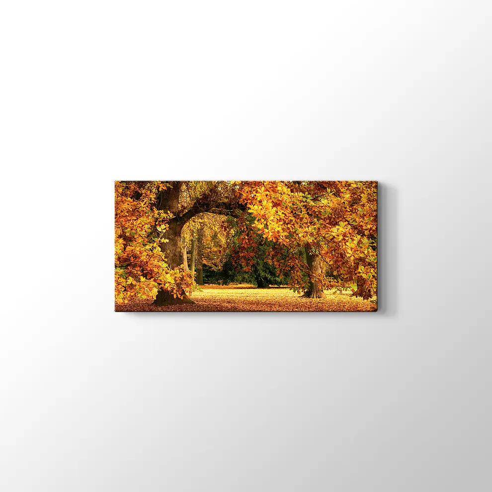 Sonbahar Meşe Ağaçları Kanvas Tablo