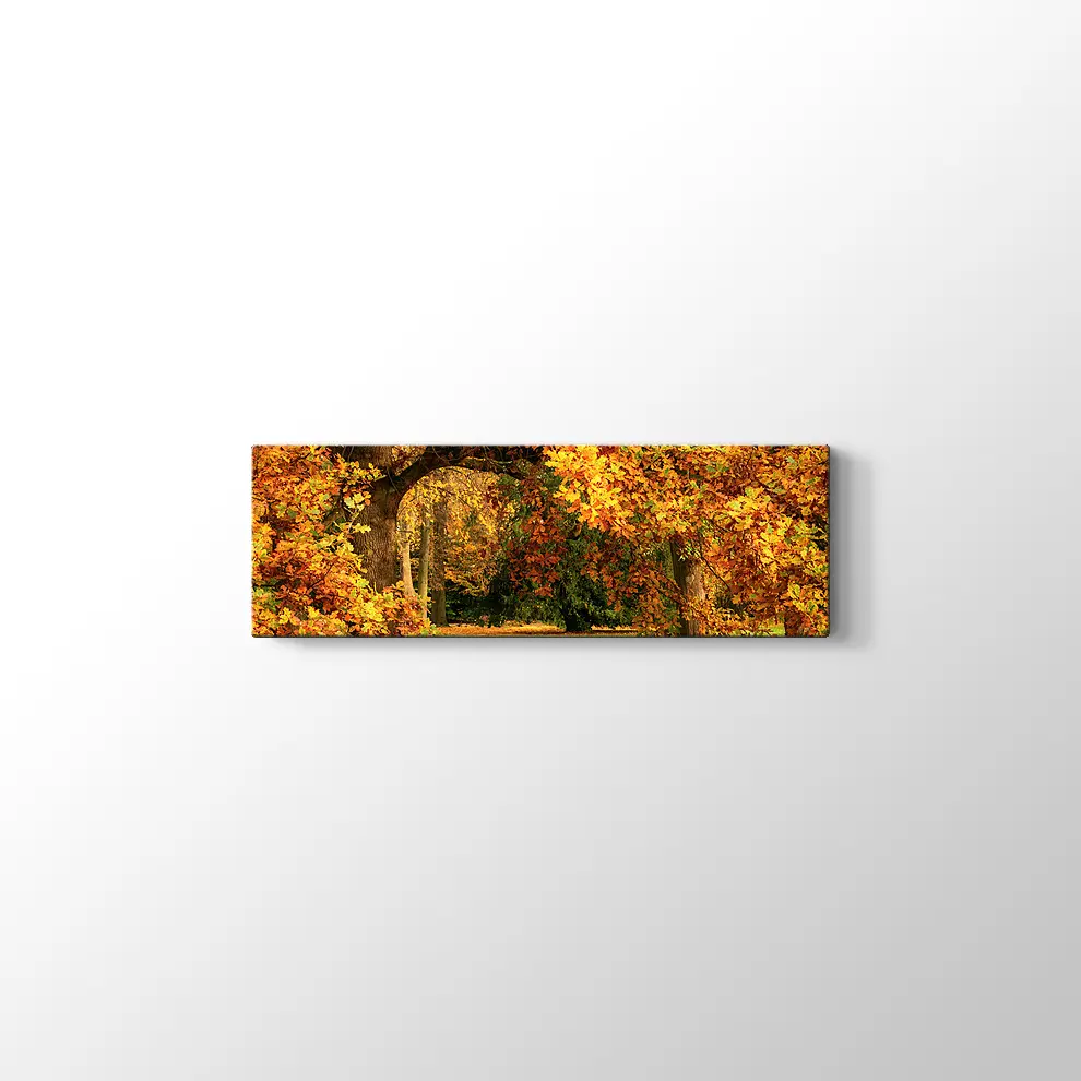 Sonbahar Meşe Ağaçları Kanvas Tablo