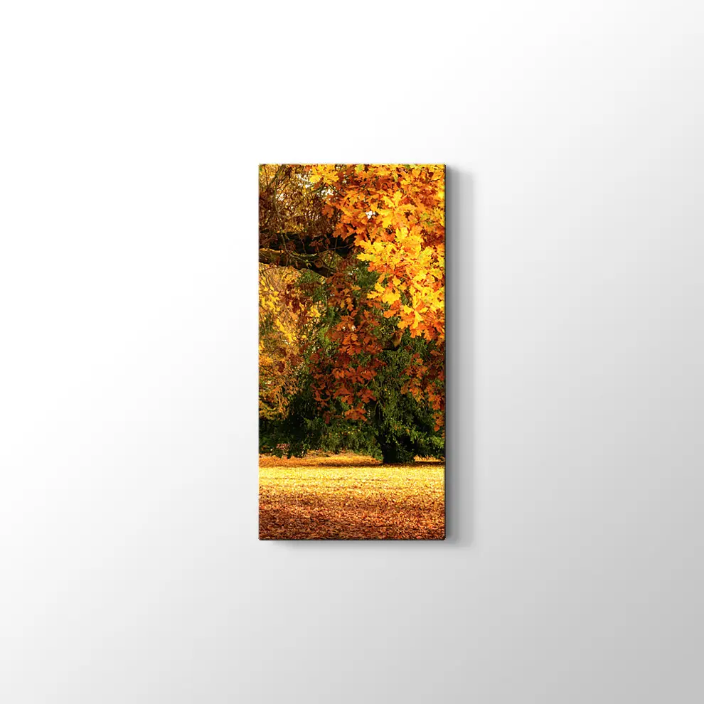 Sonbahar Meşe Ağaçları Kanvas Tablo