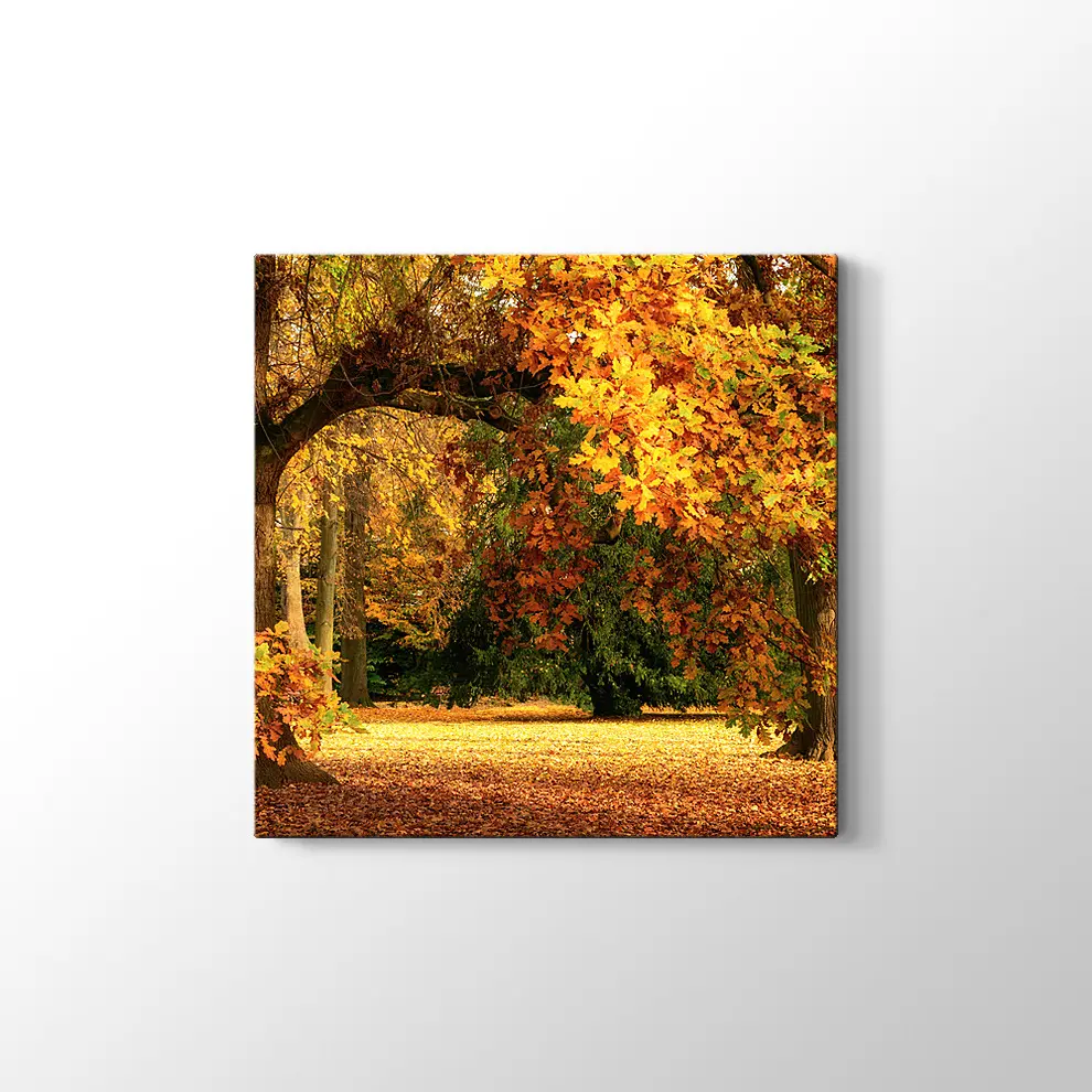 Sonbahar Meşe Ağaçları Kanvas Tablo