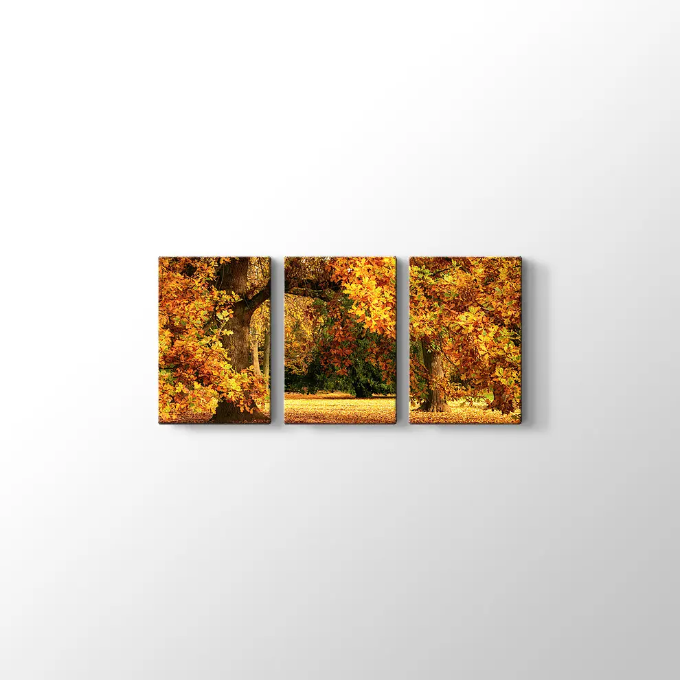 Sonbahar Meşe Ağaçları Kanvas Tablo