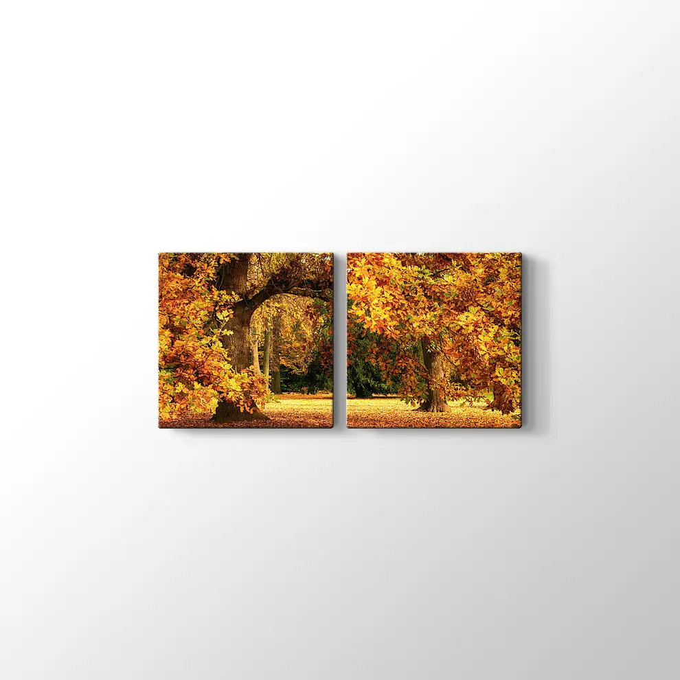 Sonbahar Meşe Ağaçları Kanvas Tablo