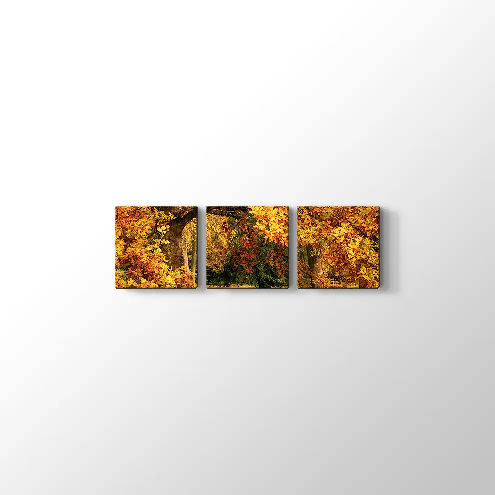 Sonbahar Meşe Ağaçları Kanvas Tablo