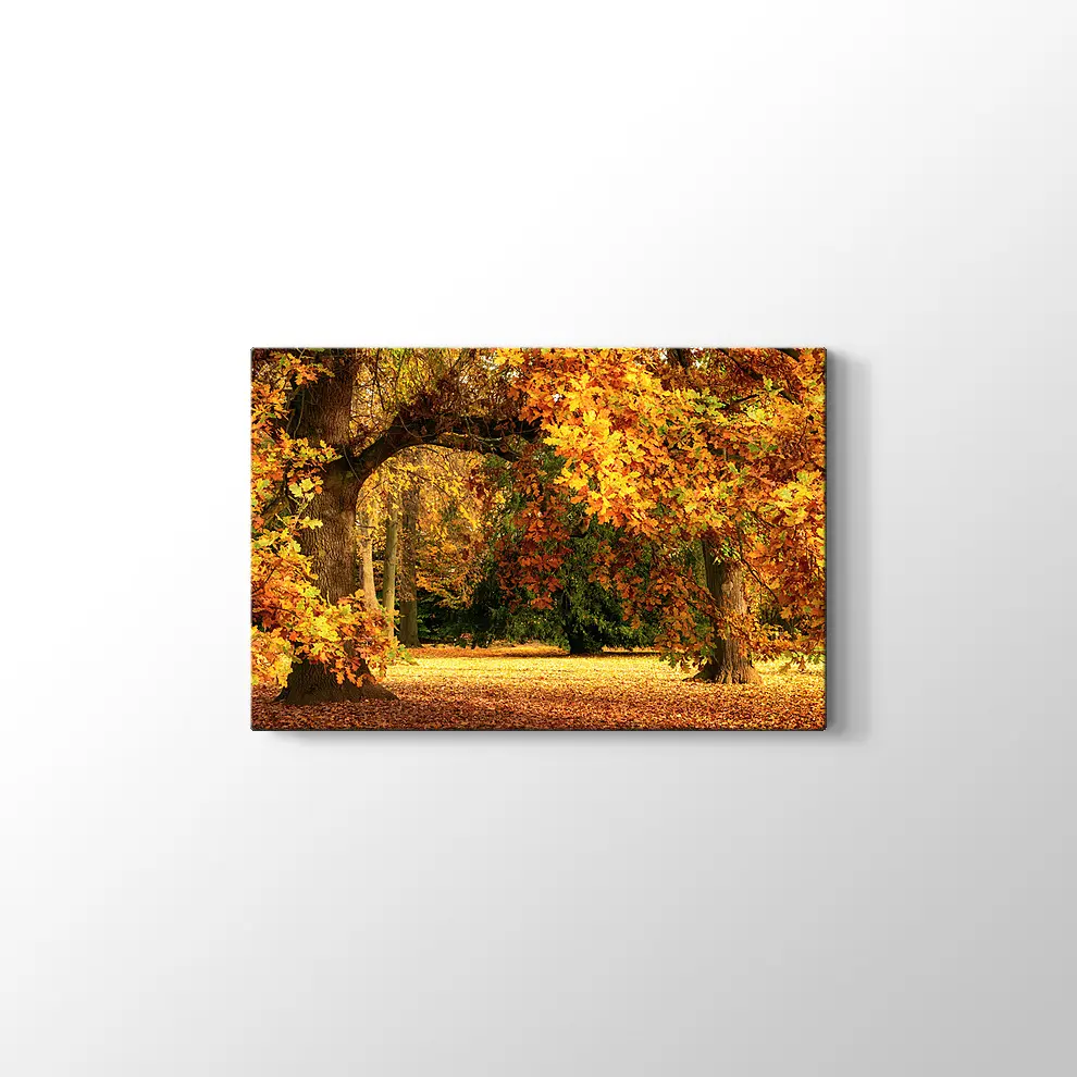 Sonbahar Meşe Ağaçları Kanvas Tablo
