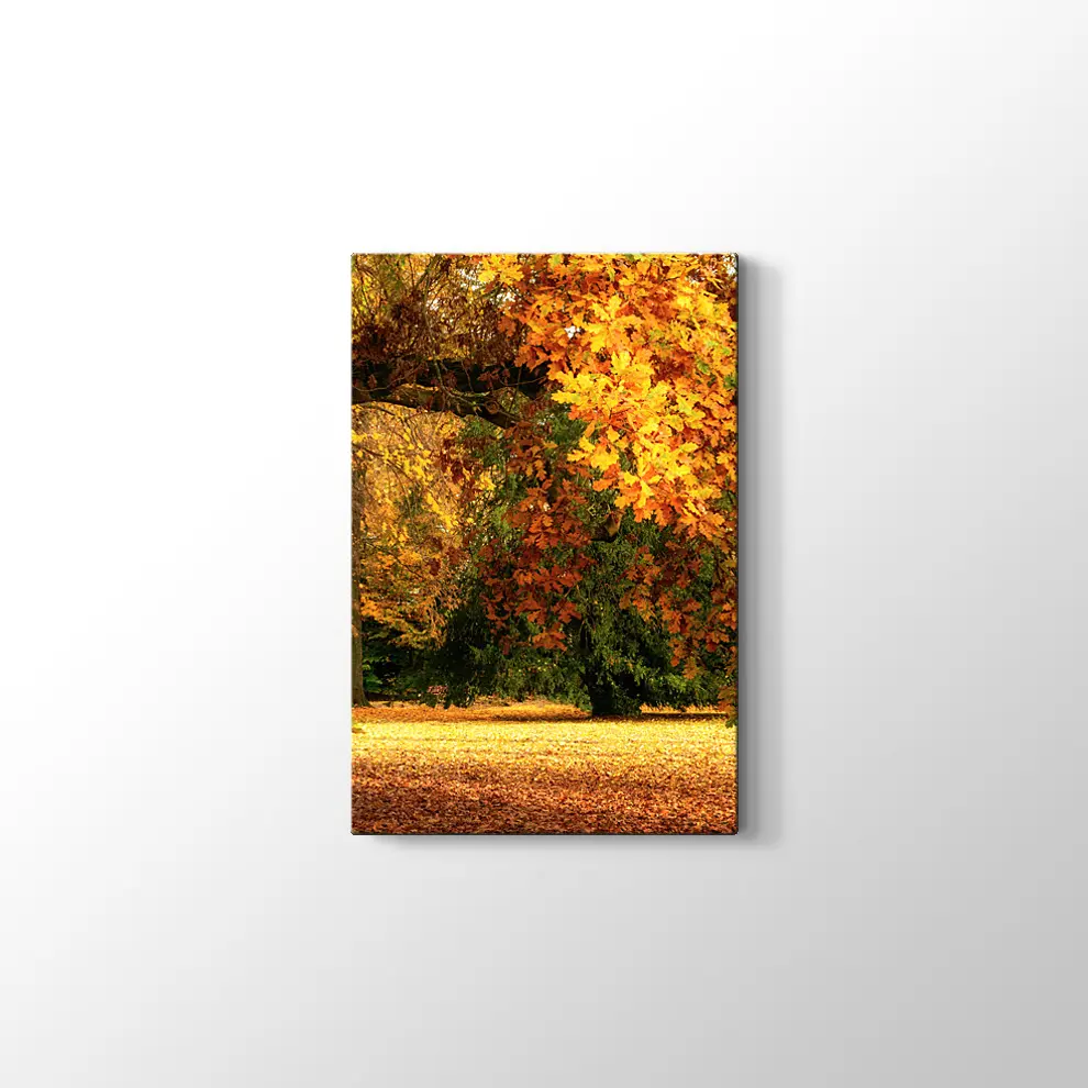 Sonbahar Meşe Ağaçları Kanvas Tablo