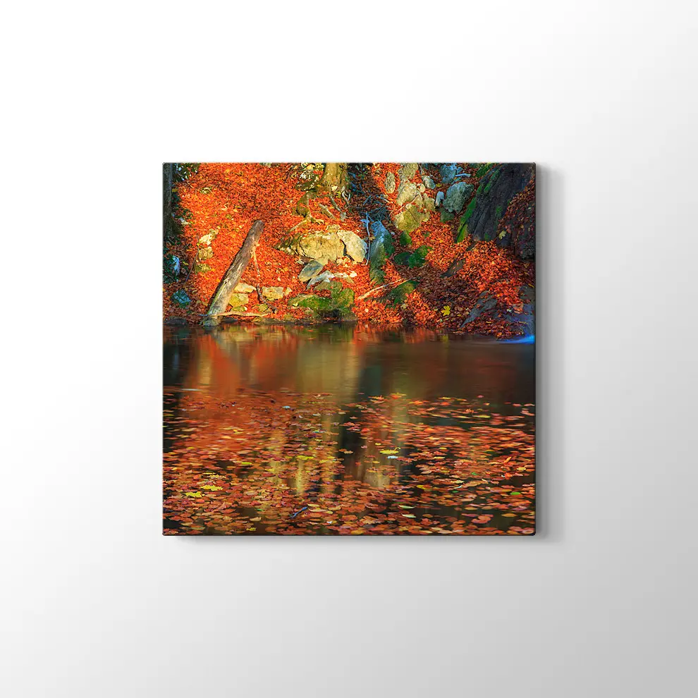 Ormanda Şelale ve Sonbahar Kanvas Tablo