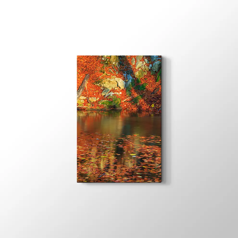 Ormanda Şelale ve Sonbahar Kanvas Tablo