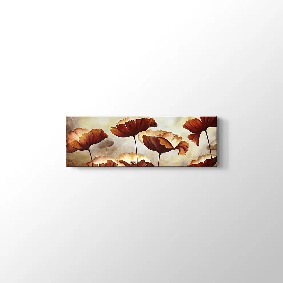 Doku Tuvali Gelincik Boyama Kanvas Tablo