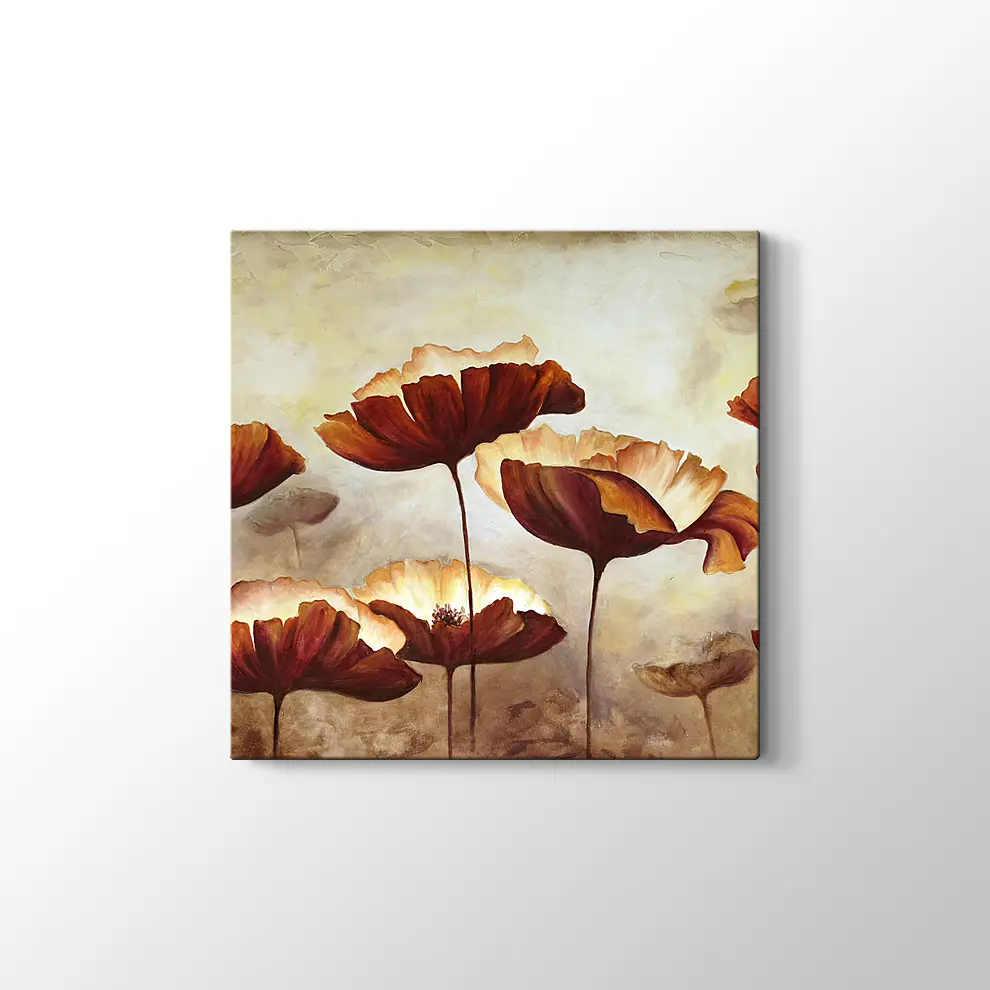 Doku Tuvali Gelincik Boyama Kanvas Tablo