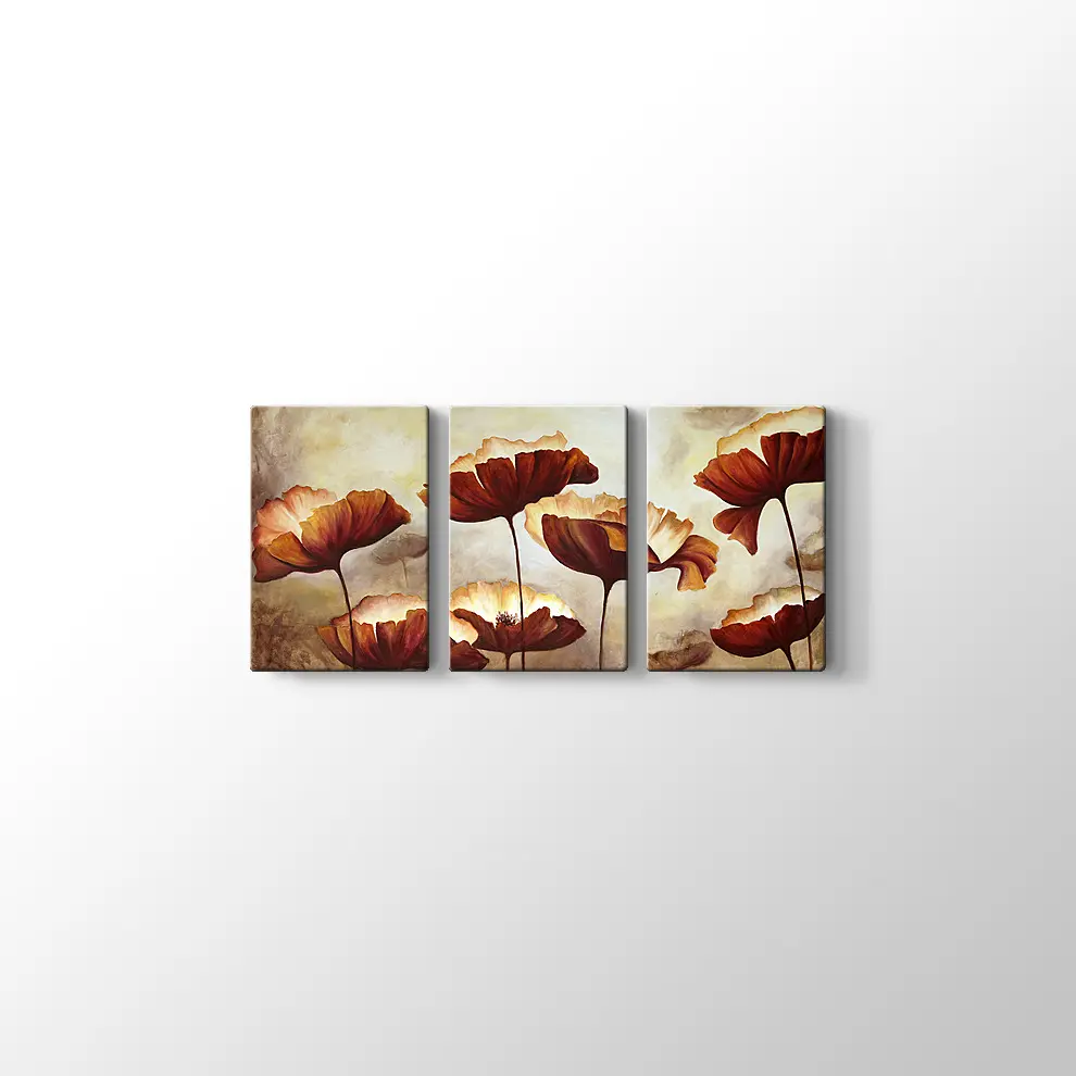 Doku Tuvali Gelincik Boyama Kanvas Tablo