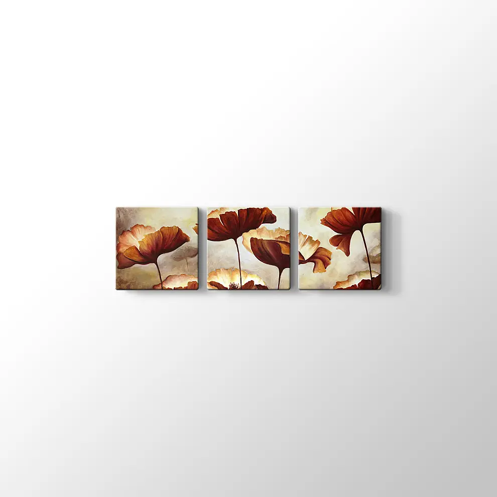 Doku Tuvali Gelincik Boyama Kanvas Tablo