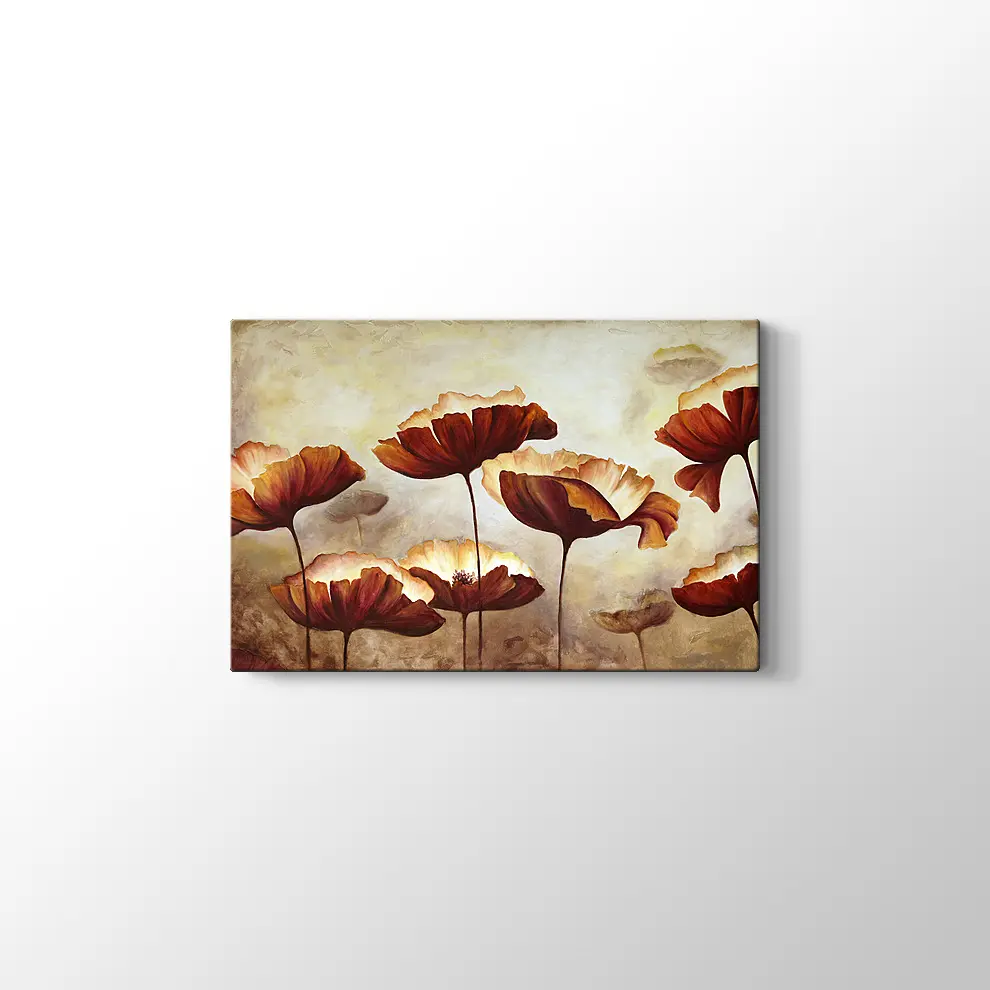 Doku Tuvali Gelincik Boyama Kanvas Tablo